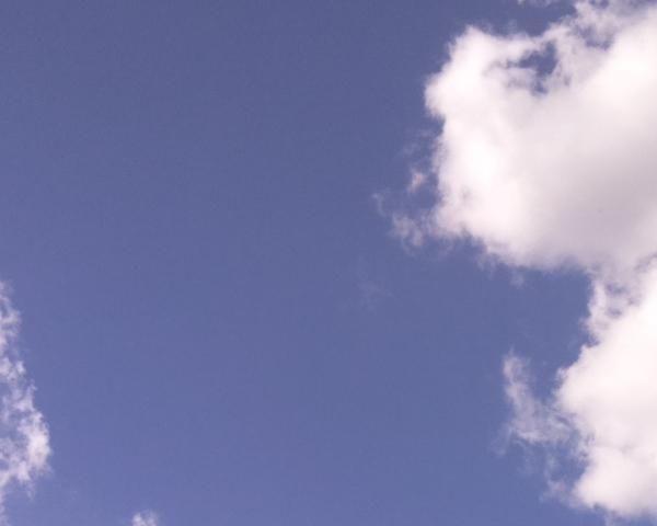 Sky on 01/09/2026 at 13:01 (Unlabeled)