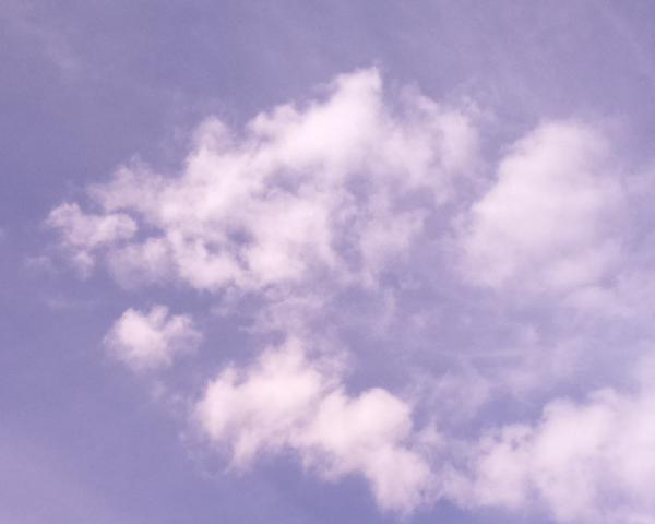 Sky on 03/07/2026 at 13:01 (Unlabeled)