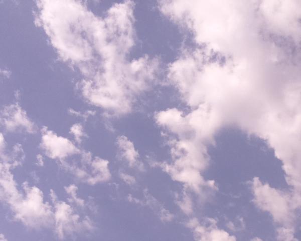 03/08/2026 at 13:01 — Unlabeled Sky on 03/08/2026 at 13:01 (Unlabeled)