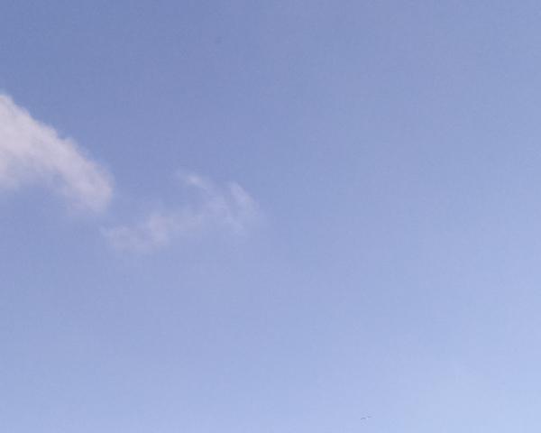 Sky on 04/02/2026 at 13:01 (Unlabeled)