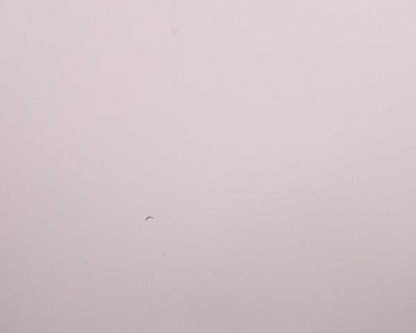 Sky on 07/03/2026 at 13:01 (mostly cloudy / grey sky)
