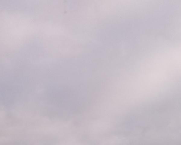 Sky on 08/01/2026 at 13:01 (Unlabeled)