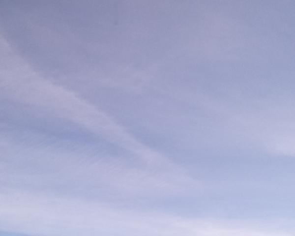 Sky on 08/02/2026 at 13:01 (Unlabeled)