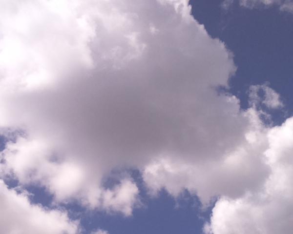 Sky on 09/06/2026 at 13:01 (Unlabeled)