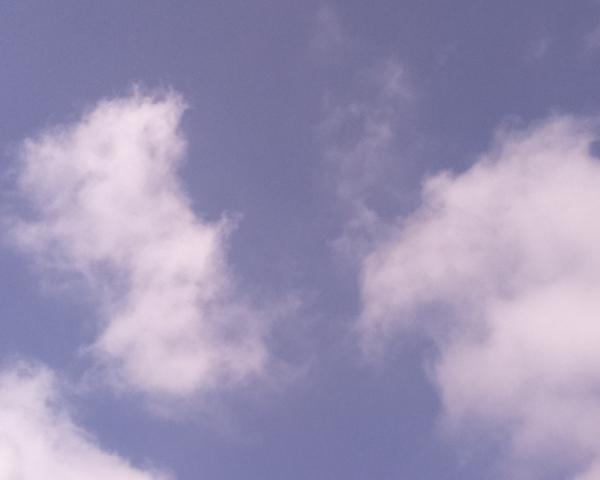 11/07/2026 at 13:01 — Unlabeled Sky on 11/07/2026 at 13:01 (Unlabeled)