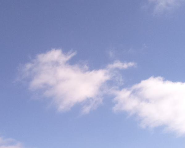 Sky on 14/02/2026 at 13:01 (Unlabeled)