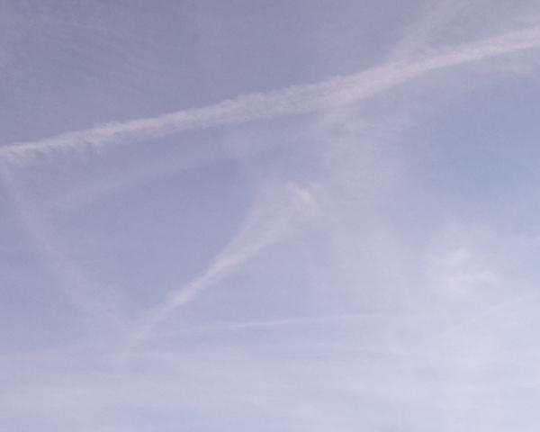 Sky on 17/01/2026 at 13:01 (Unlabeled)