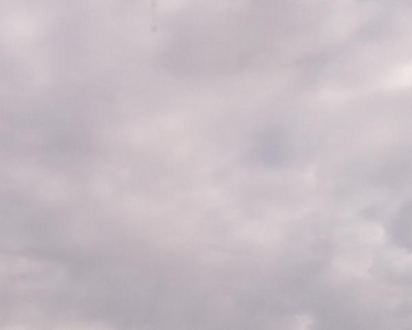 Sky on 19/01/2026 at 13:01 (Unlabeled)