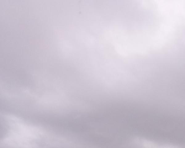 Sky on 19/02/2026 at 13:01 (Unlabeled)