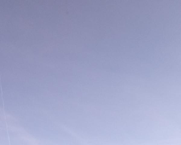 Sky on 20/01/2026 at 13:01 (Unlabeled)