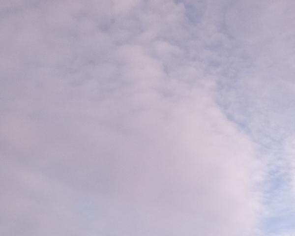 Sky on 23/01/2026 at 13:01 (Unlabeled)