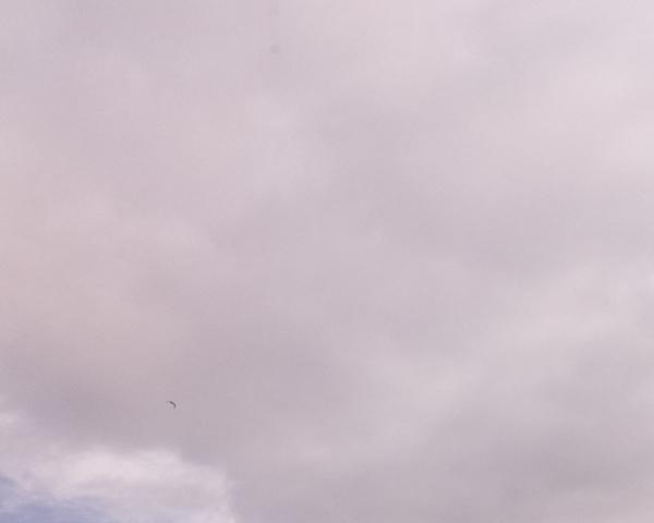 Sky on 23/02/2026 at 13:01 (Unlabeled)