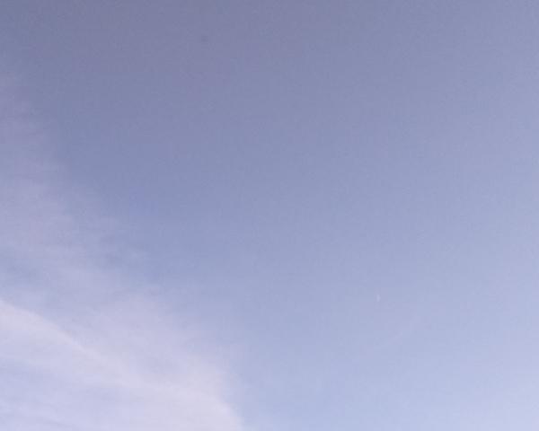 Sky on 24/01/2026 at 13:01 (Unlabeled)