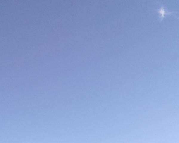 Sky on 25/02/2026 at 13:01 (Unlabeled)