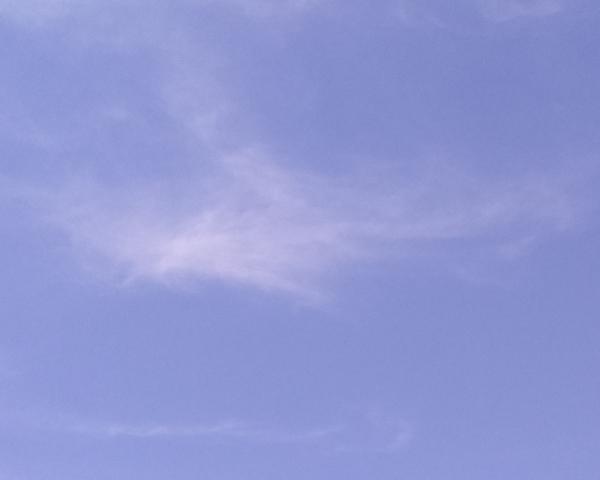 Sky on 29/06/2026 at 13:01 (Unlabeled)